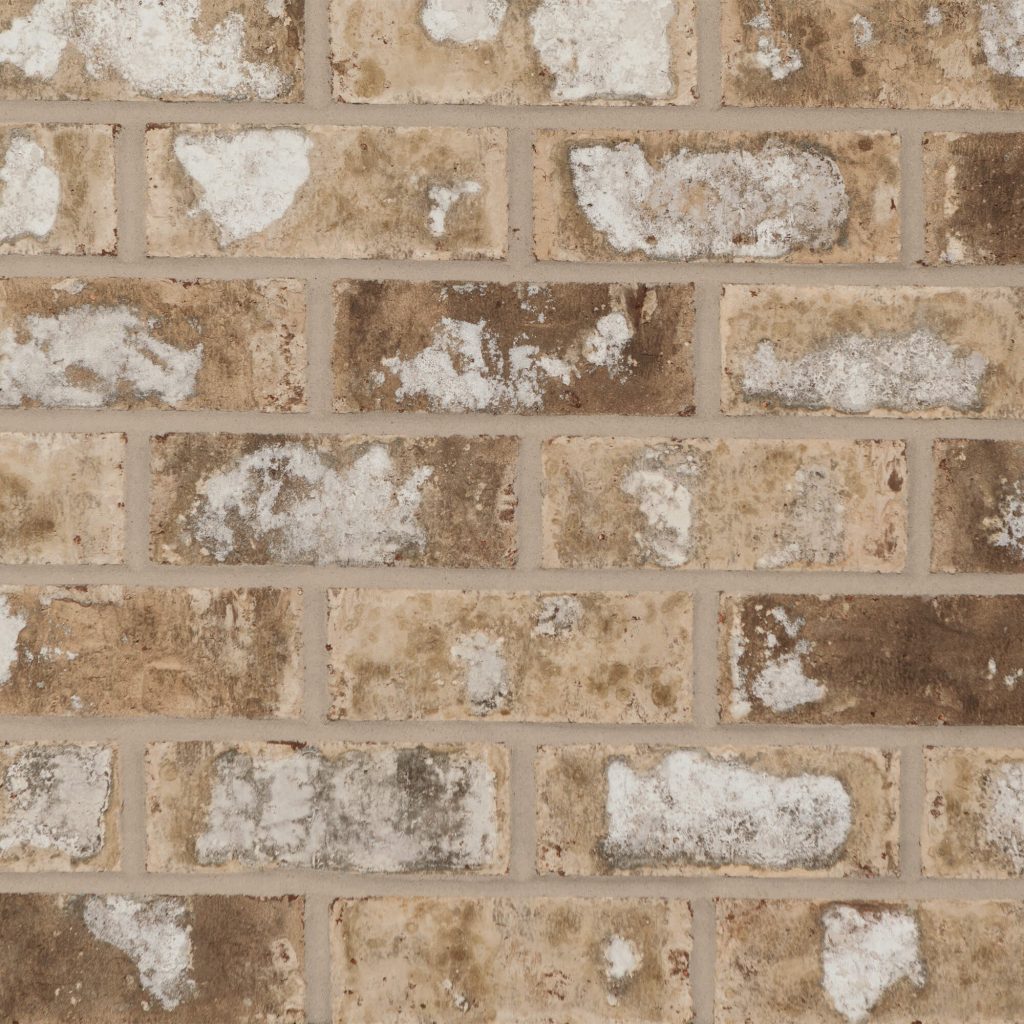 comm-magnolia_ridge Magnolia Ridge Commercial Brick