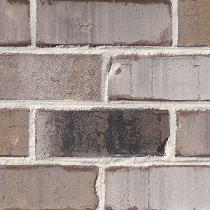 Classic Mocha Select