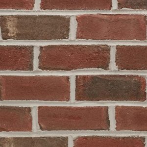 Jerfferson Wade Tudor