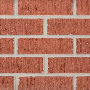 Vertical Red Scratch