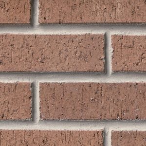 Dark Palomino Wirecut