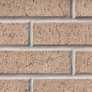 Medium Palomino Wirecut