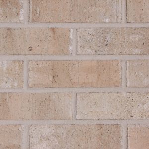 Coated Frosty Sahara