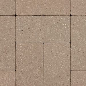 Allegheny Grey Paver